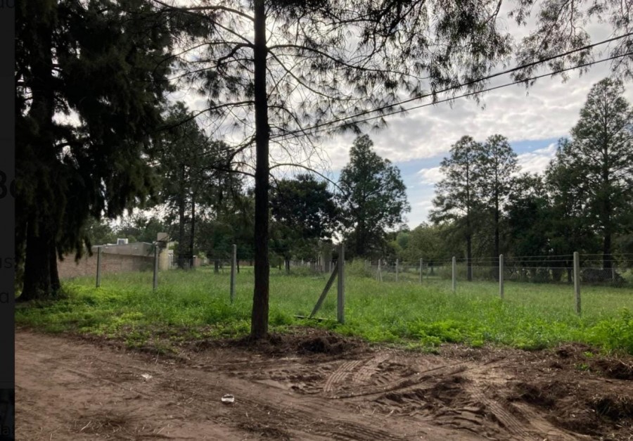 RUTA 1.KM 2,5. BOSQUE LA SALLE