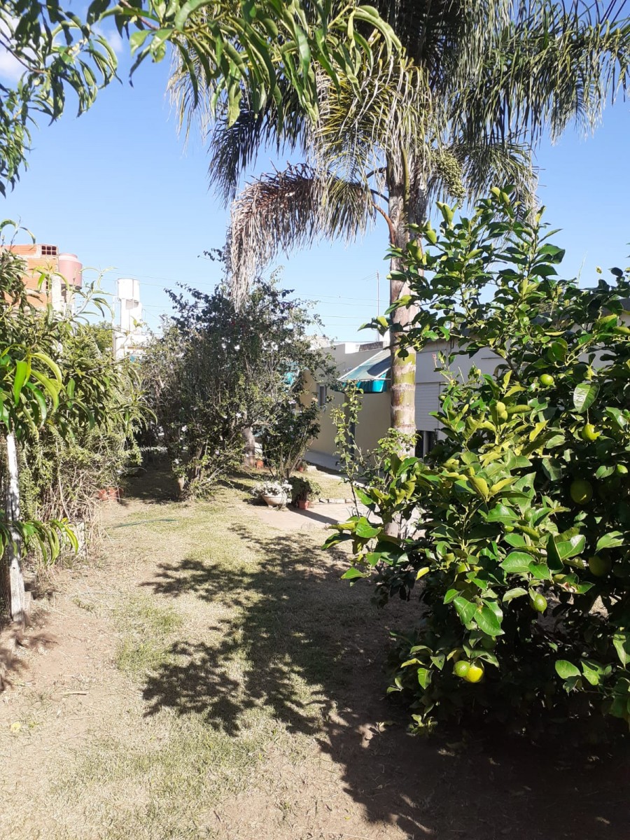 25 DE MAYO 2000 (LAG. PAIVA)