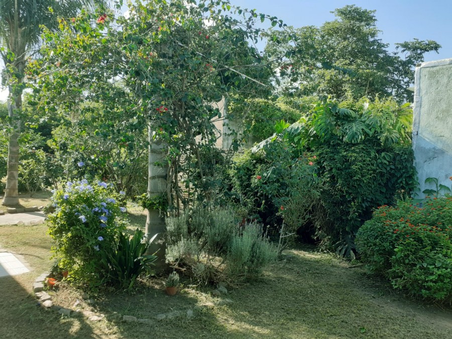 25 DE MAYO 2000 (LAG. PAIVA)