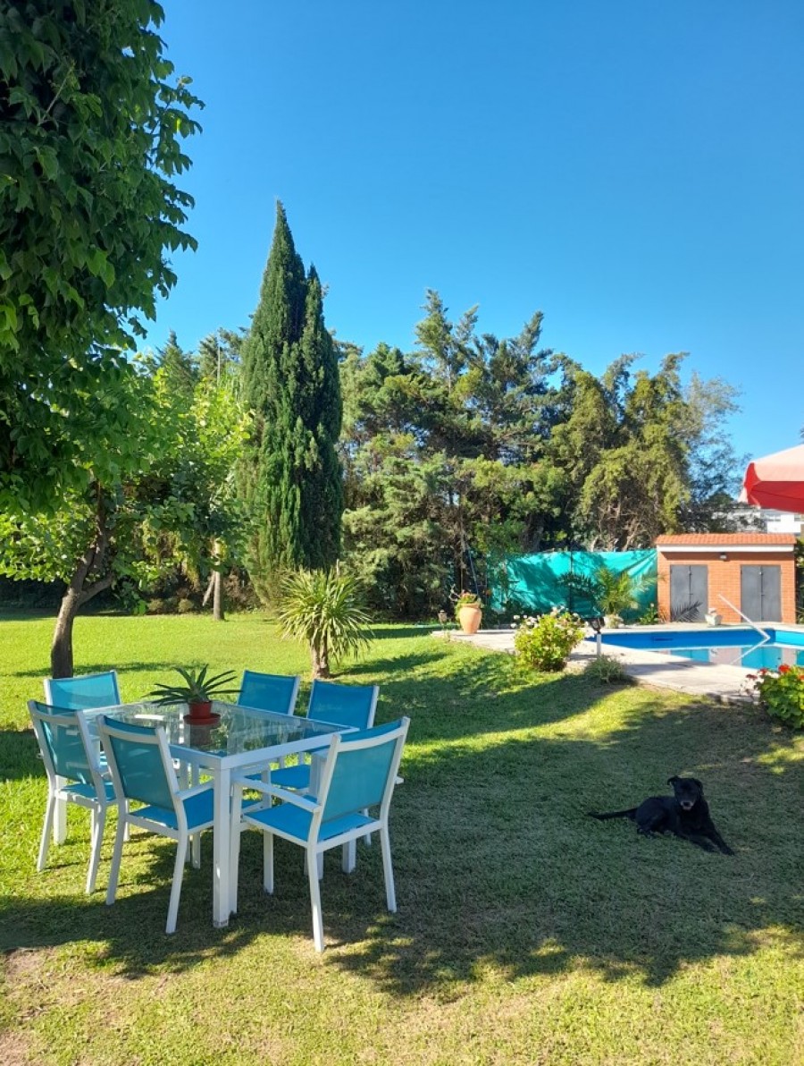 ZONA PUNTA SUR - SAUCE VIEJO