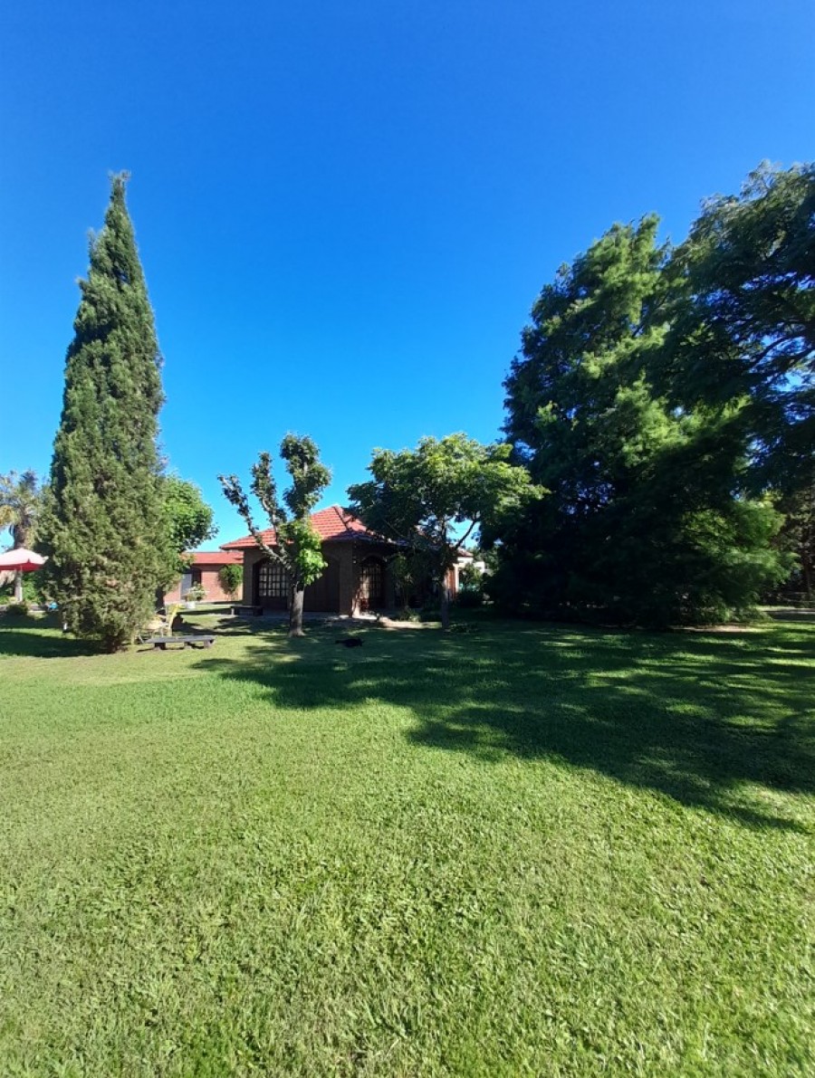 ZONA PUNTA SUR - SAUCE VIEJO