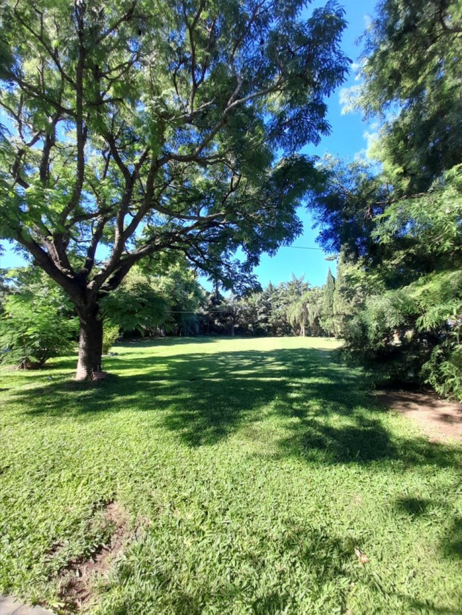 ZONA PUNTA SUR - SAUCE VIEJO