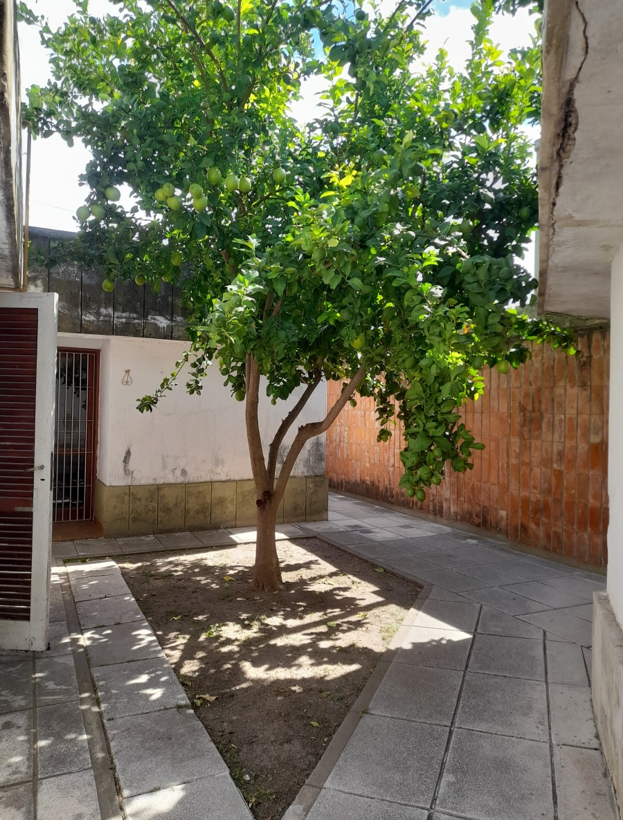 ANGEL CASSANELLO 1900