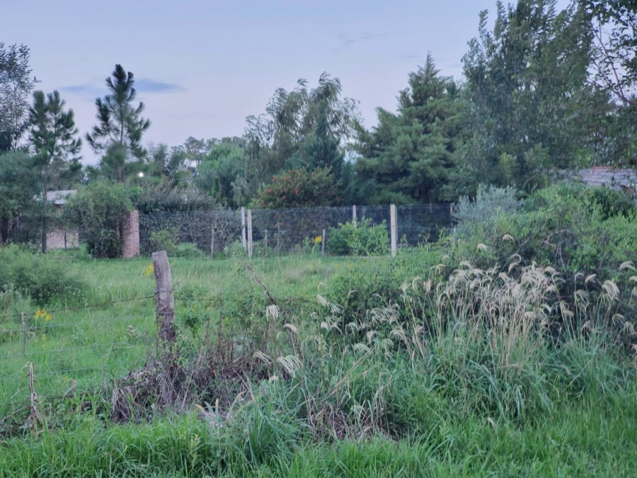 RN11 - ZONA MADERERA FORESTAL (SAUCE VIEJO)