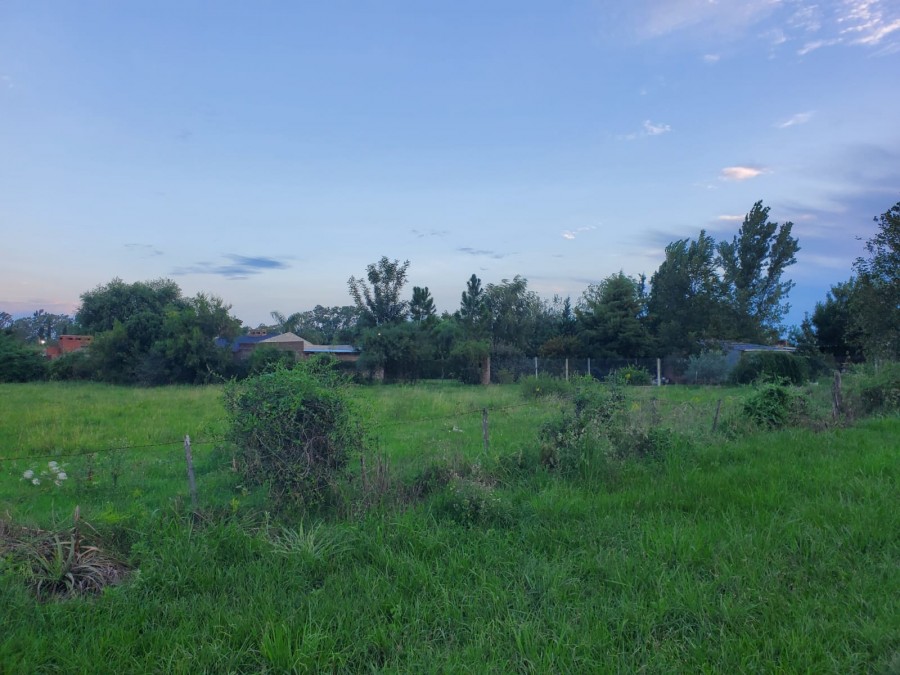 RN11 - ZONA MADERERA FORESTAL (SAUCE VIEJO)