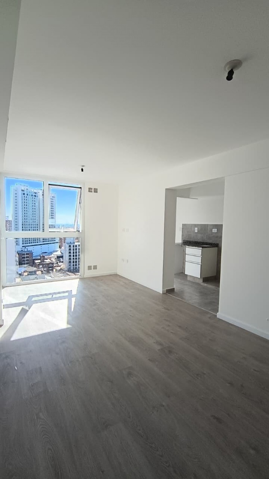 PEDRO VITTORI Y CASTELLANOS