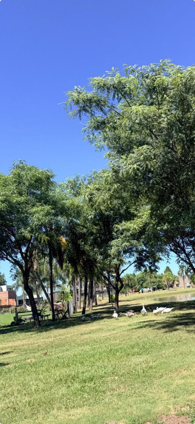 AUTOPISTA SANTA FE - ROSARIO KM 5.5. SANTO TOME 