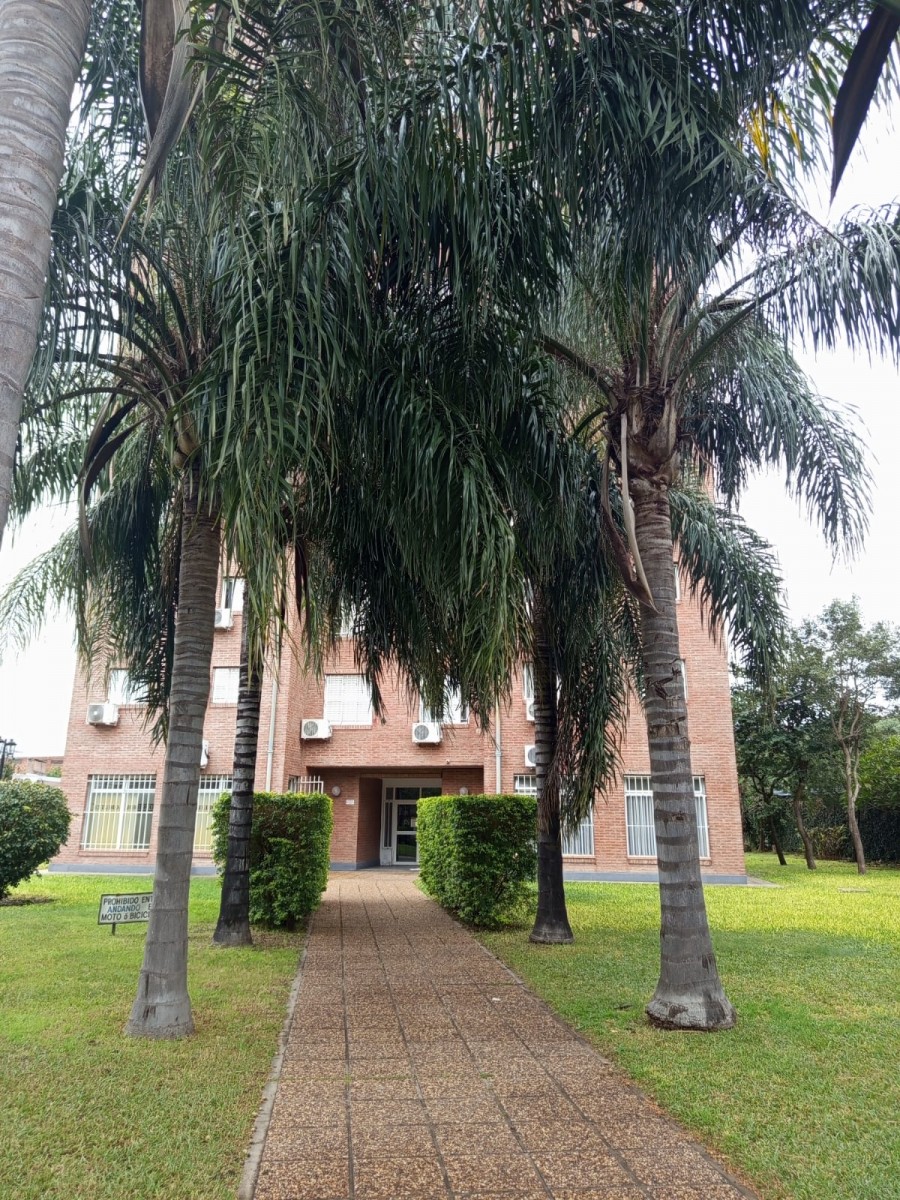 MENDOZA 3800